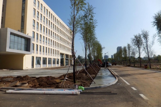 園林(lín)綠(lǜ)化(huà)